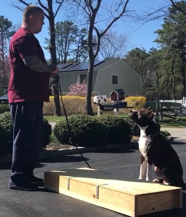 person with dog outside house