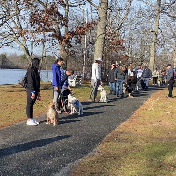 trainers with dogs at park