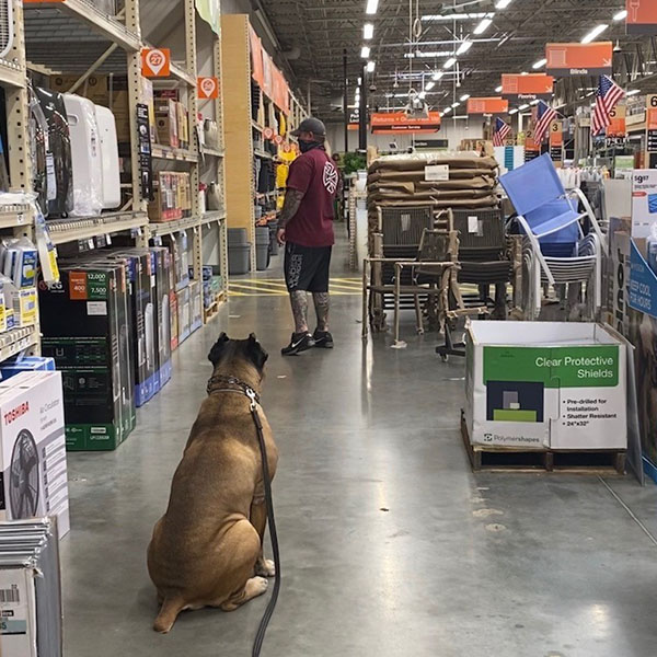 person with dog at store